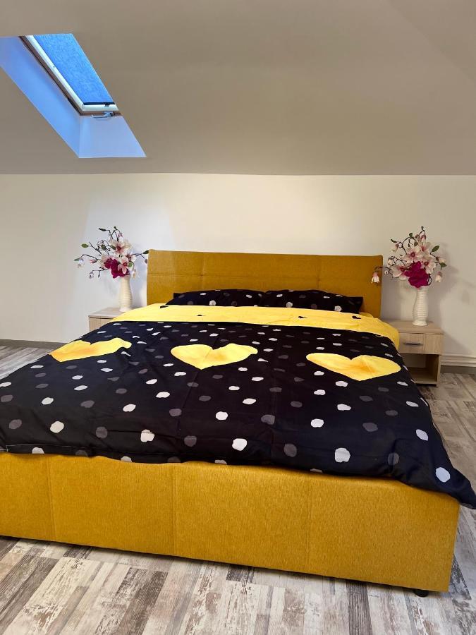 布拉索夫Zizi'S House Garii公寓 外观 照片