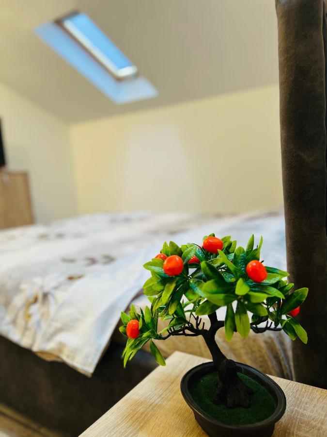 布拉索夫Zizi'S House Garii公寓 外观 照片
